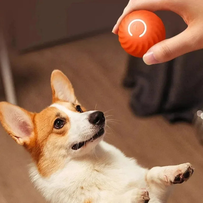 Engineball - selbstbewegender Hundespielzeugball mit Akku