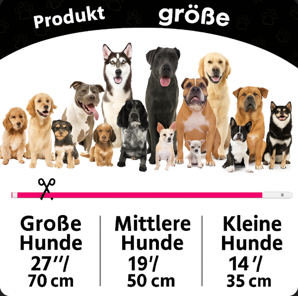 Lightdog - Das Halsband das Leuchten kann