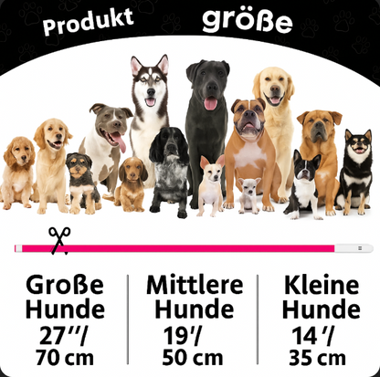 Lightdog - Das Halsband das Leuchten kann