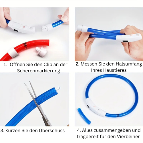 Lightdog - Das Halsband das Leuchten kann