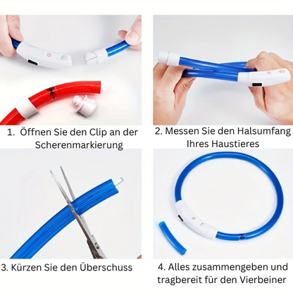 Lightdog - Das Halsband das Leuchten kann