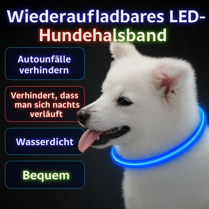Lightdog - Das Halsband das Leuchten kann
